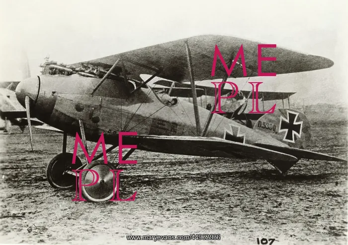 : Albatros D.V : Albatros D.V
