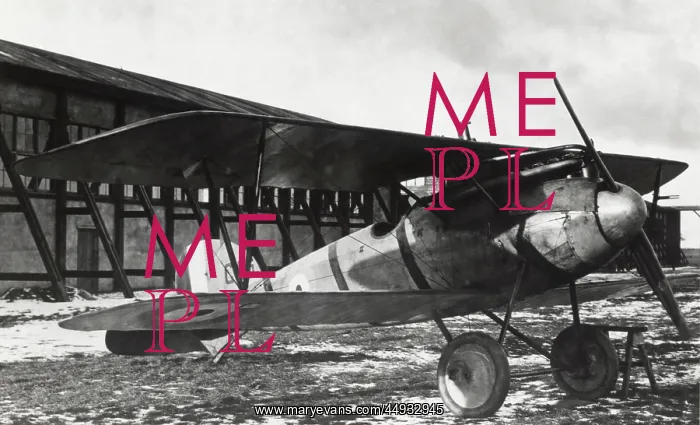 : Albatros D.V : Albatros D.V