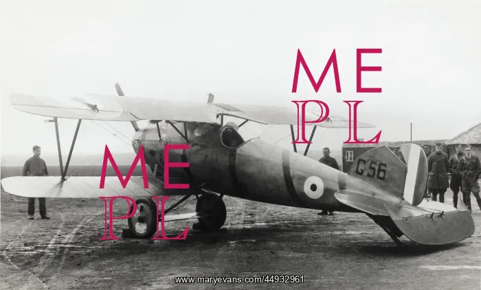 : Albatros D.V : Albatros D.V