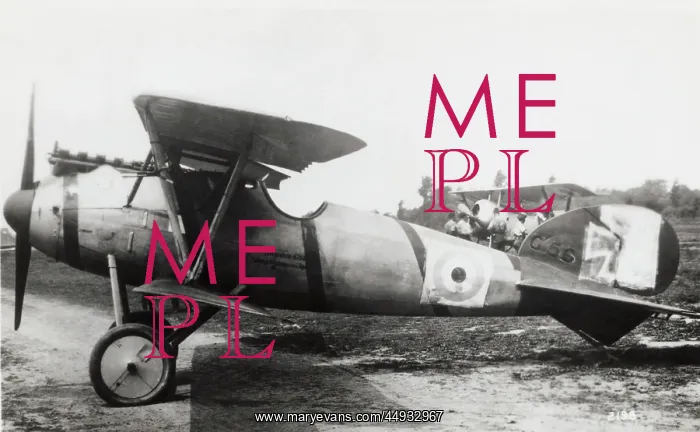 : Albatros D.V : Albatros D.V