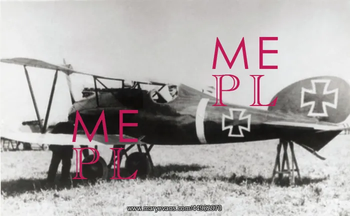 : Albatros D.V : Albatros D.V