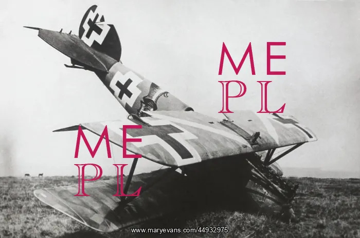 : Albatros D.V : Albatros D.V
