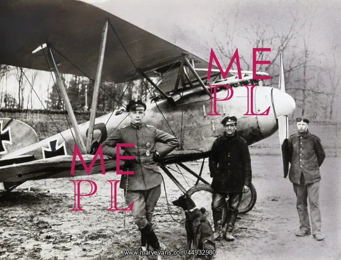 : Albatros D.V : Albatros D.V