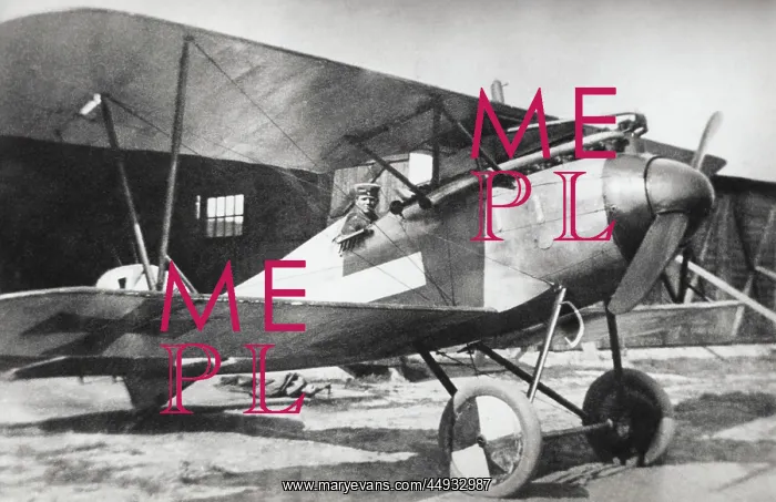 : Albatros D.V : Albatros D.V