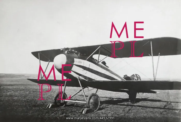 : Albatros D.V : Albatros D.V