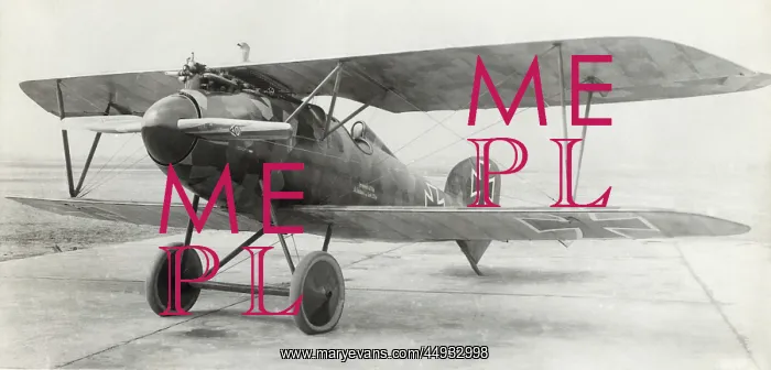 : Albatros D.V : Albatros D.V