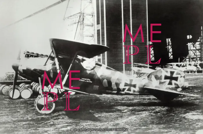 : Albatros D.V : Albatros D.V