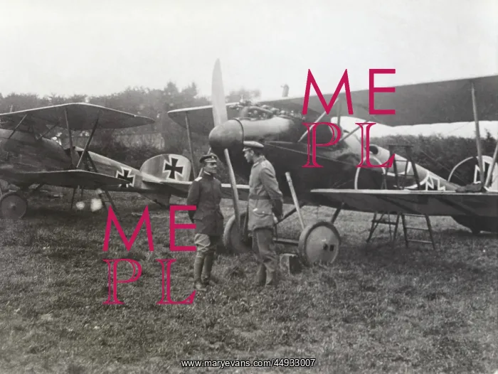 : Albatros D.V : Albatros D.V