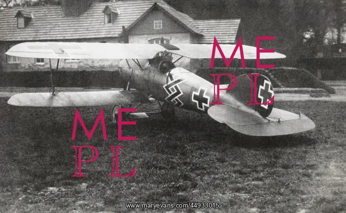 : Albatros D.V : Albatros D.V