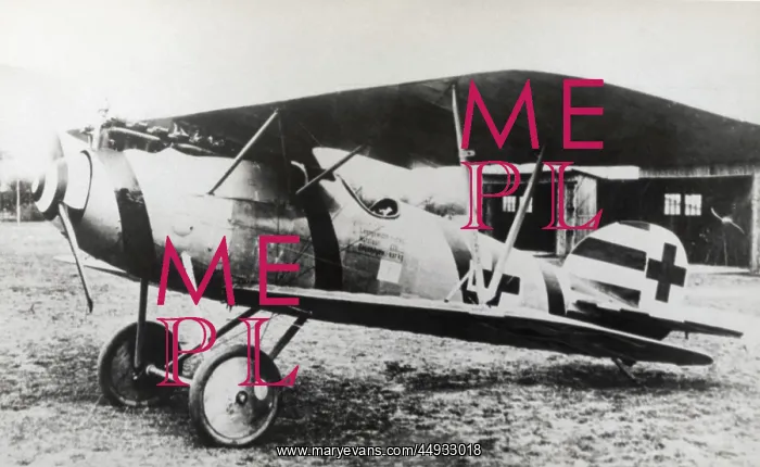 : Albatros D.V : Albatros D.V