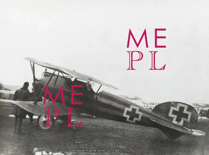 : Albatros D.V : Albatros D.V