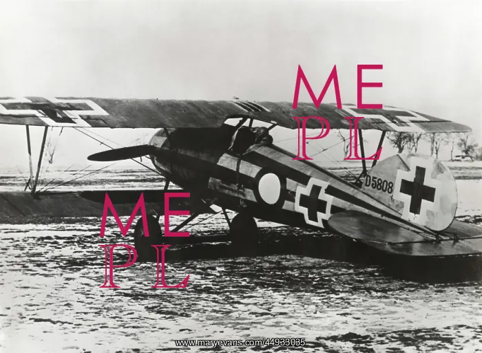 : Albatros D.V : Albatros D.V