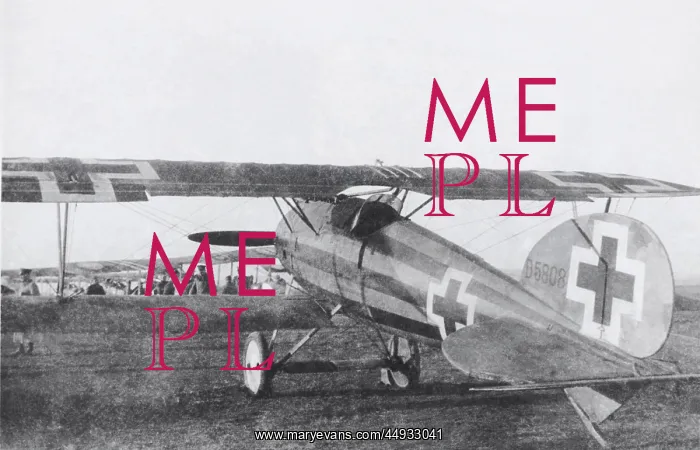 : Albatros D.V : Albatros D.V