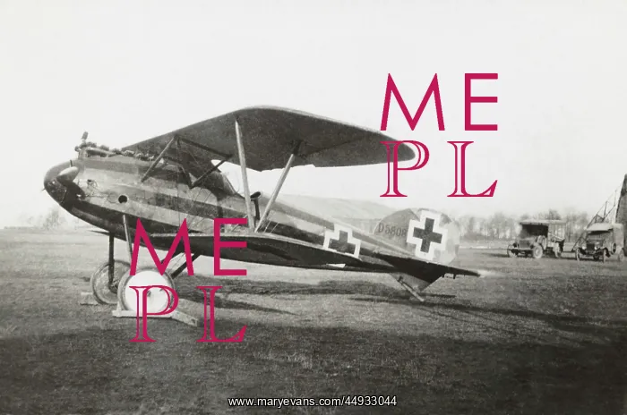: Albatros D.V : Albatros D.V