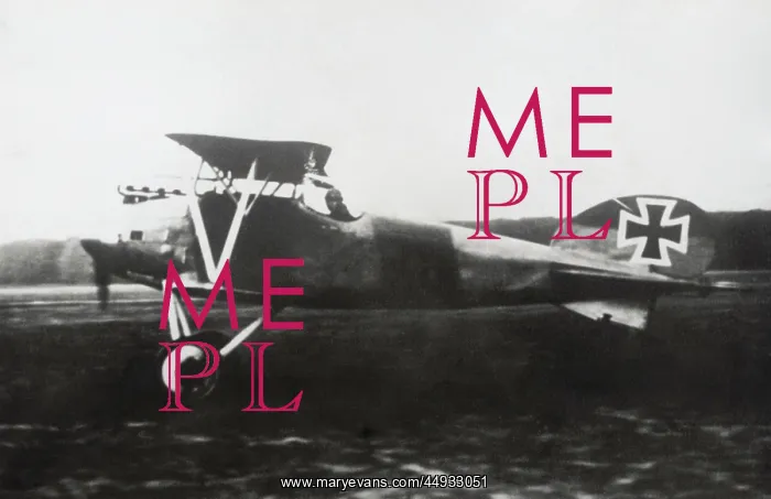 : Albatros D.V : Albatros D.V