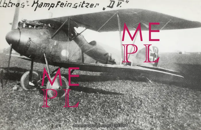 : Albatros D.V : Albatros D.V