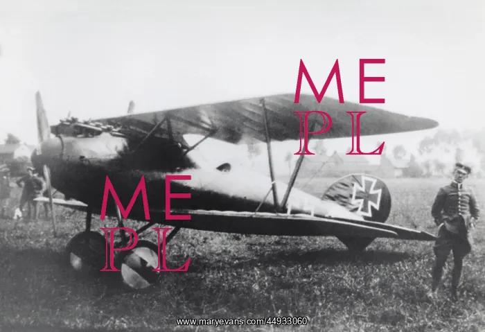 : Albatros D.V : Albatros D.V
