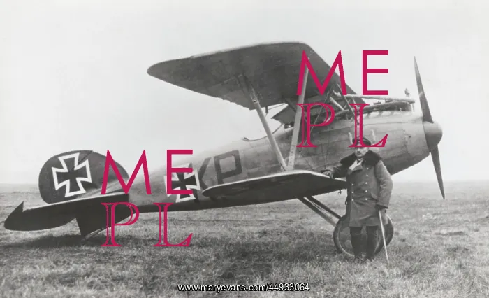 : Albatros D.V : Albatros D.V