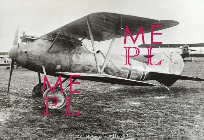 : Albatros D.V : Albatros D.V