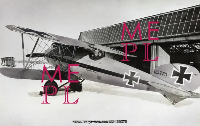: Albatros D.V : Albatros D.V