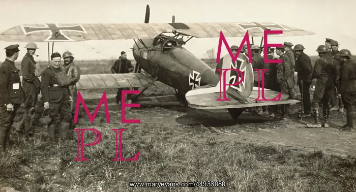 : Albatros D.V : Albatros D.V