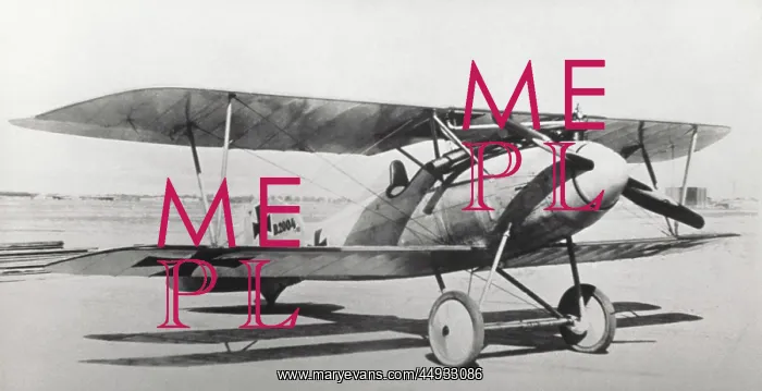 : Albatros D.V : Albatros D.V