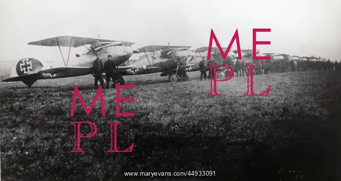 : Albatros D.V : Albatros D.V
