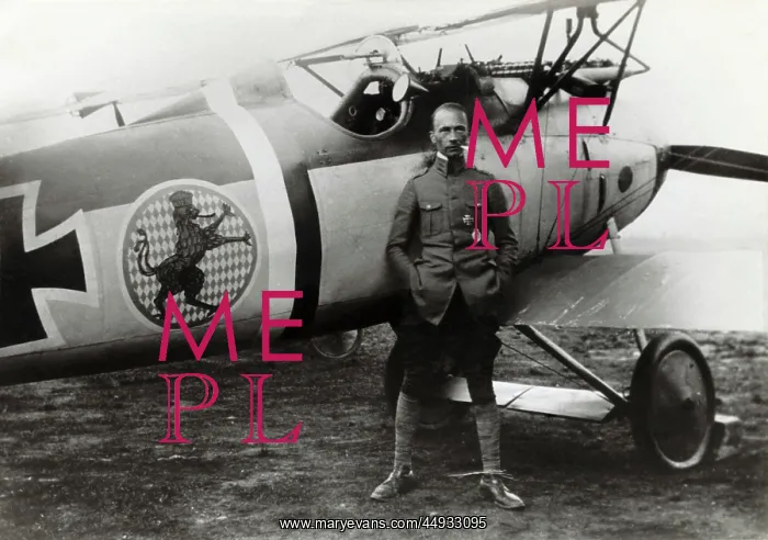 : Albatros D.V : Albatros D.V