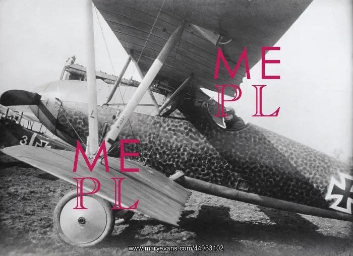 : Albatros D.V : Albatros D.V