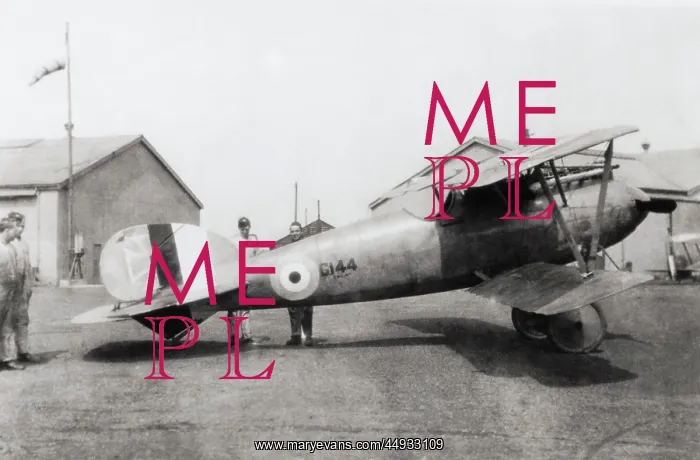 : Albatros D.V : Albatros D.V