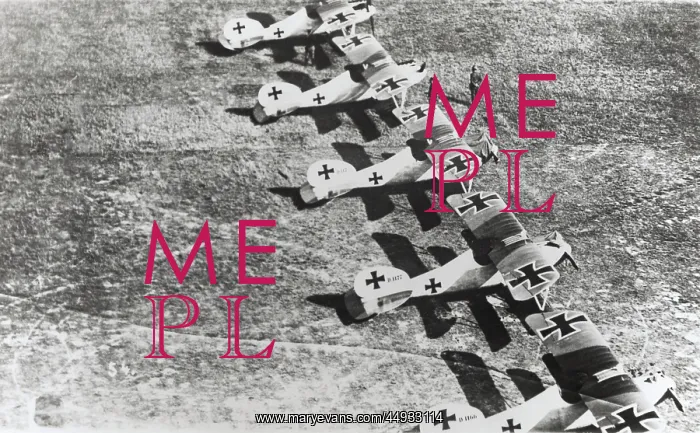 : Albatros D.V : Albatros D.V