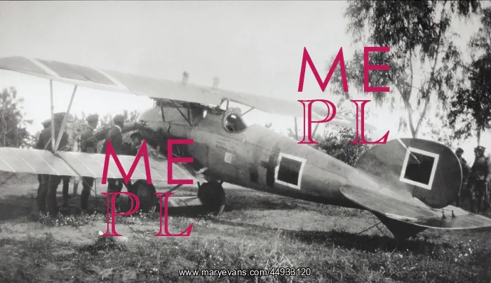 : Albatros D.V : Albatros D.V