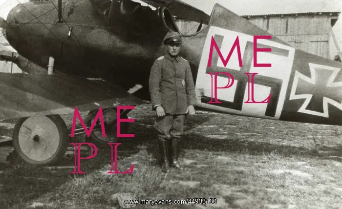 : Albatros D.V : Albatros D.V