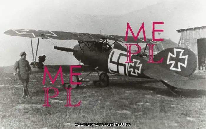 : Albatros D.V : Albatros D.V