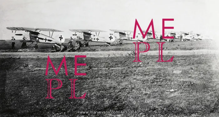 : Albatros D.V : Albatros D.V