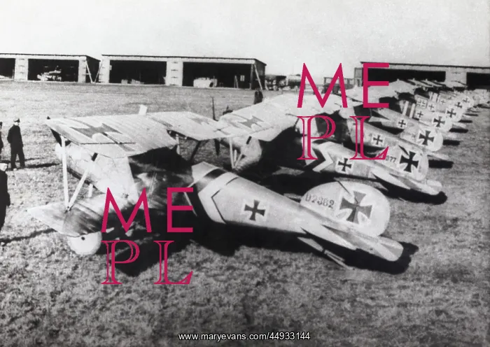 : Albatros D.V : Albatros D.V
