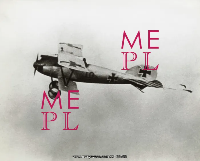 : Albatros D.V : Albatros D.V