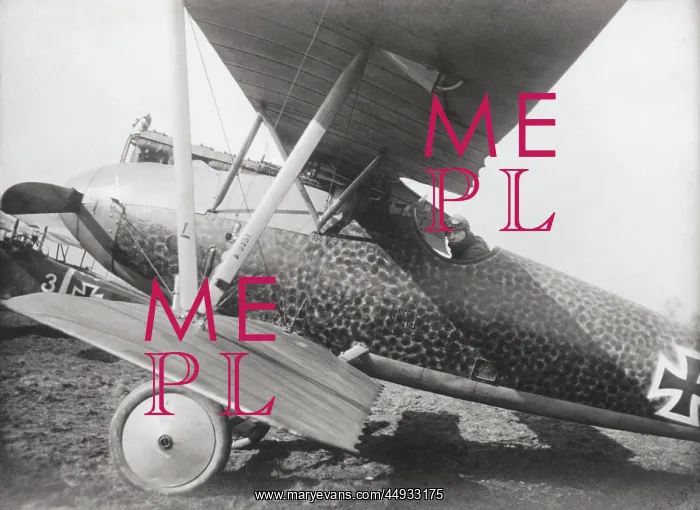 : Albatros D.V : Albatros D.V