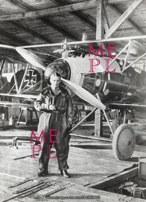 : Albatros D.V : Albatros D.V
