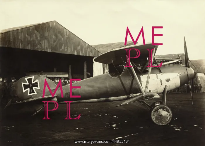 : Albatros D.V : Albatros D.V