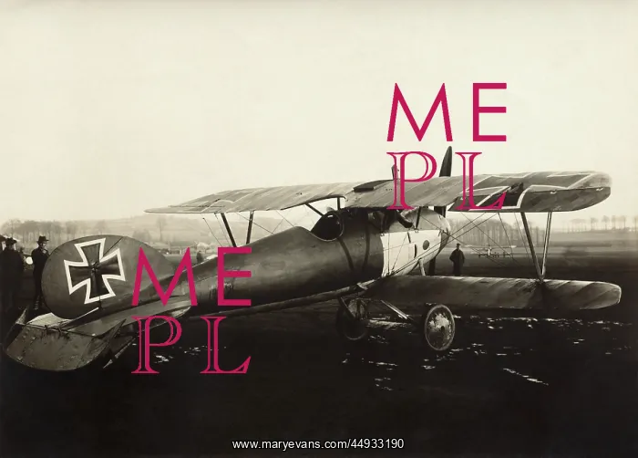 : Albatros D.V : Albatros D.V