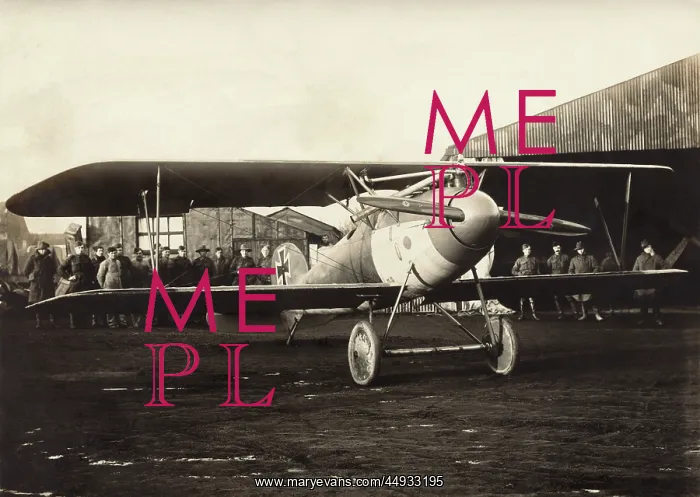 : Albatros D.V : Albatros D.V