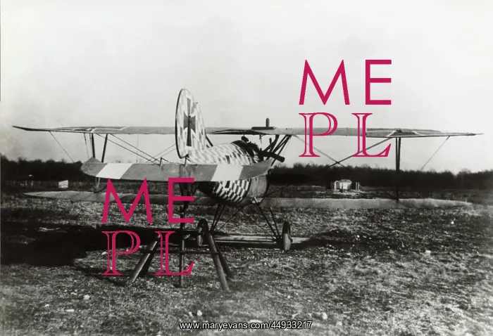 : Albatros D.V : Albatros D.V