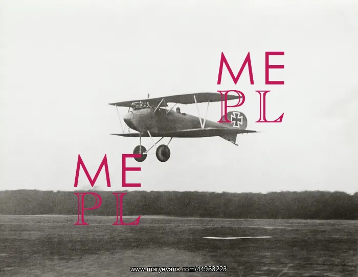 : Albatros D.V : Albatros D.V