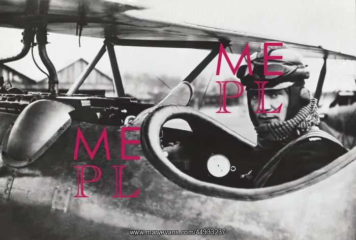 : Albatros D.V : Albatros D.V