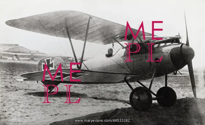 : Albatros D.V : Albatros D.V
