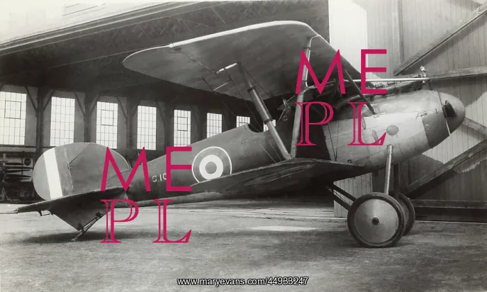 : Albatros D.V : Albatros D.V