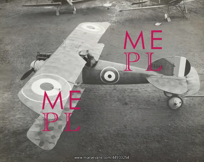 : Albatros D.V : Albatros D.V