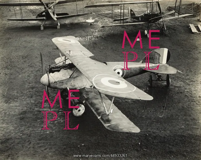 : Albatros D.V : Albatros D.V