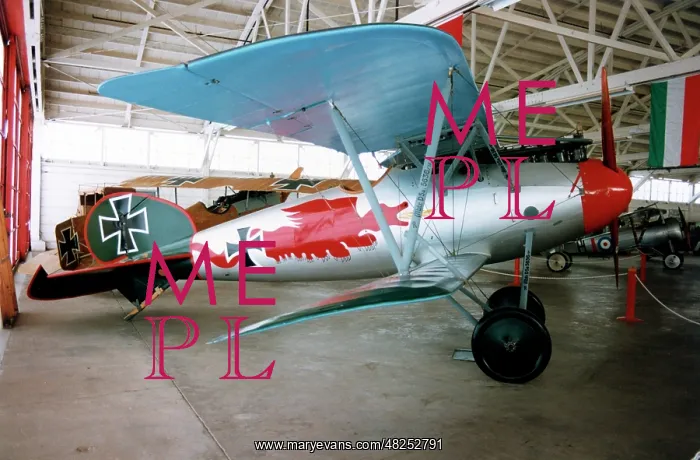 : Albatros D.Va replica NX36DV : Albatros D.Va replica NX36DV